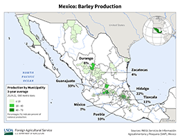 images\MX\Municipality\Mexico_Total_Barley_preview.png